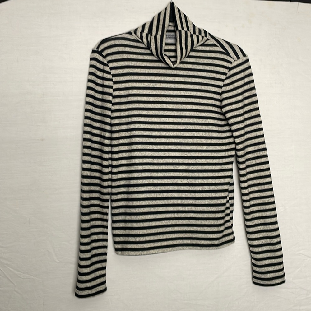 Zara Striped Turtleneck Sweater NWOT